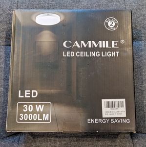 30W LED Ceiling Light, 8.4in Flush Mount Light Fixture, Surface Mounted Ceiling